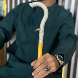 خيزران خيوط الفضة